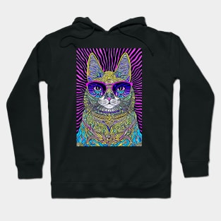 Cosmos Cat Wearing Sunglasses-Effusion! Hoodie